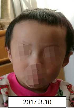 大鸡巴操毛逼视频